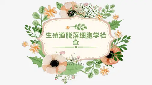 液基细胞PPT