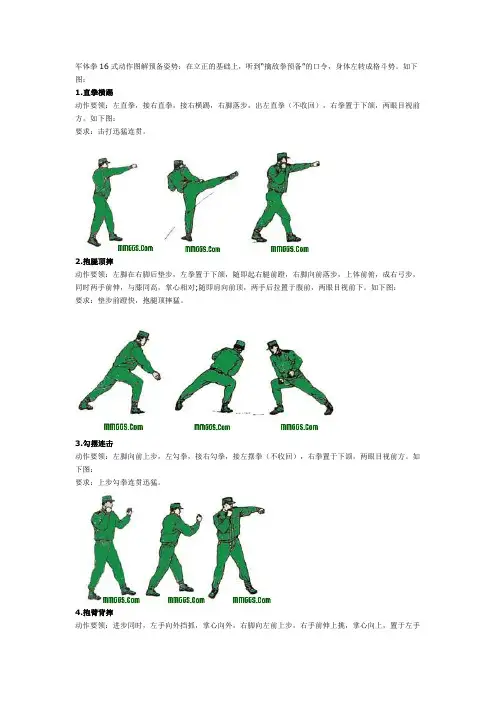 实用拳术(军体拳)