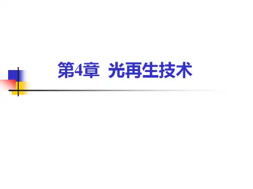 光再生技术与光路可控技术-波长变换