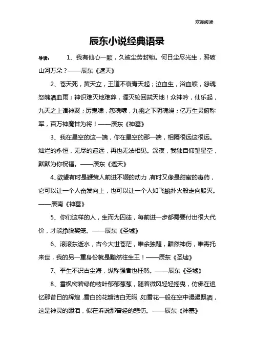 辰东小说经典语录