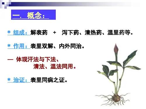 方剂学第七章表里双解剂