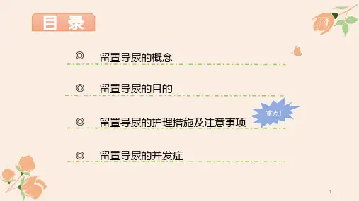 留置导尿的护理PPT课件
