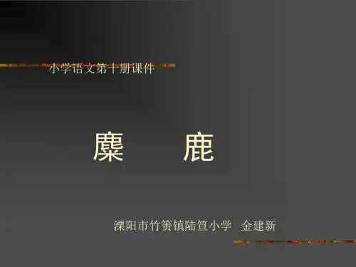 麋鹿(教学课件)