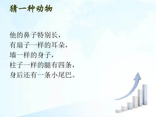 可爱的小象-小象