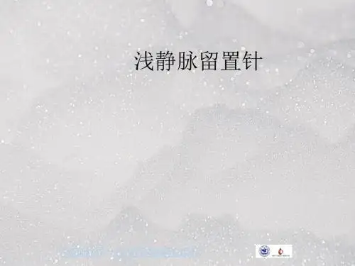 留置针PPT精ppt课件