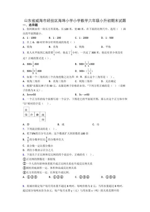 山东省威海市经技区海埠小学小学数学六年级小升初期末试题[001]