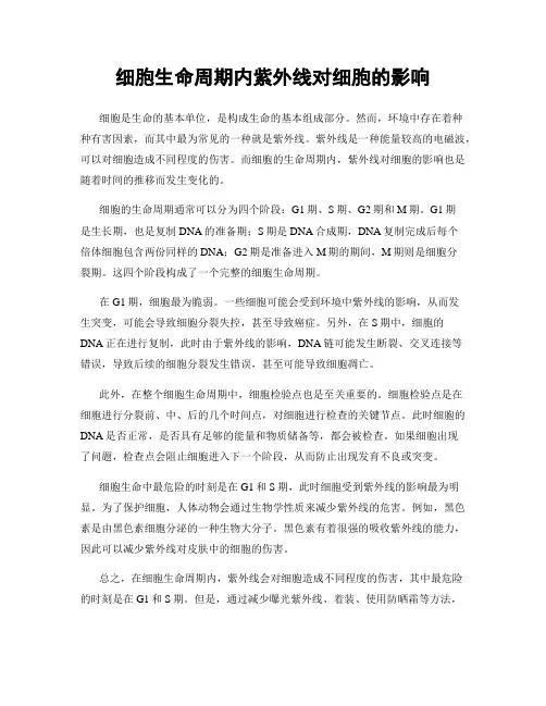 细胞生命周期内紫外线对细胞的影响