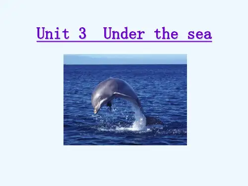 高中英语 Unit 3 Under the sea Reading阅读课件 新人教版选修7