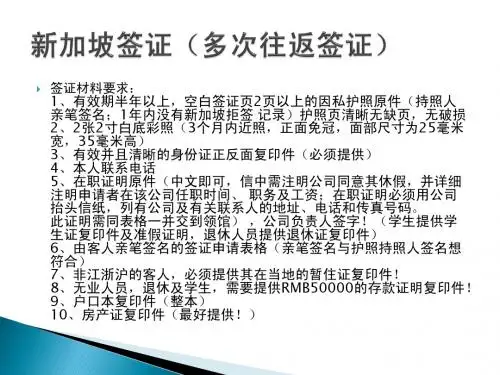 新加坡签证(多次往返签证)