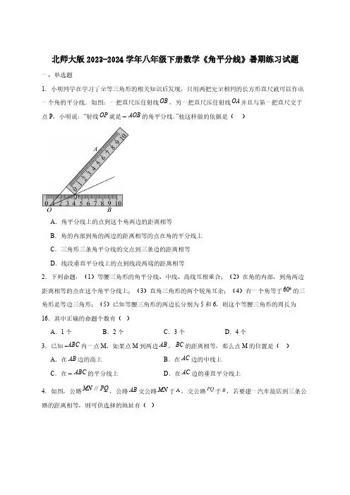 北师大版2023-2024学年八年级下册数学《角平分线》暑期练习试题(含答案)