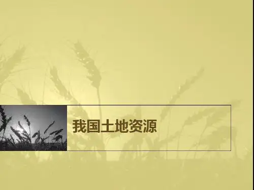 我国土地资源现状