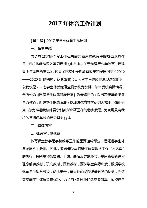 2017年体育工作计划