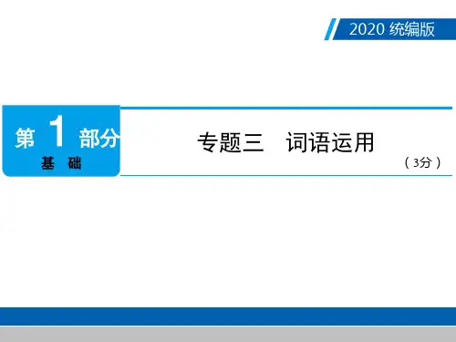 广东中考语文复习课件：第1部分专题三词语运用(共111张PPT)