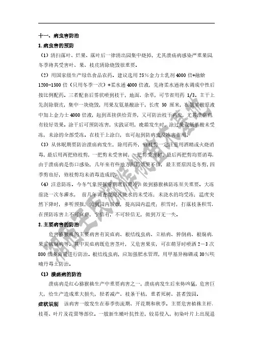 猕猴桃的栽培技术