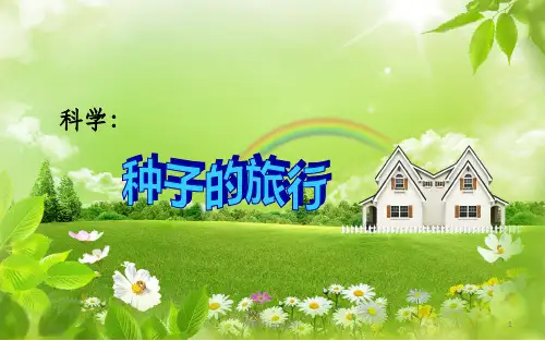 中班科学种子的旅行ppt课件