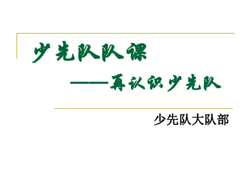 少先队队课 PPT课件