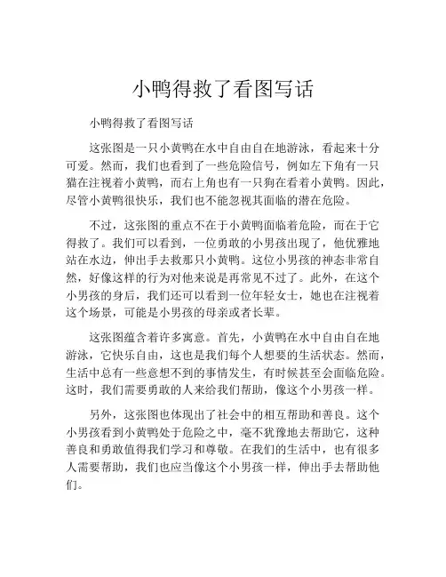 小鸭得救了看图写话