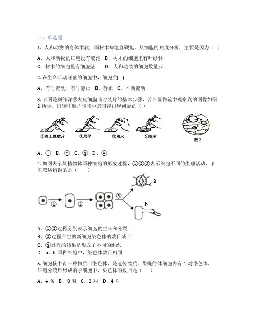 北师大版生物 七年级上册 第4章 生物体的结构层次 课后练习题