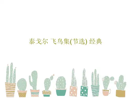 泰戈尔 飞鸟集(节选) 经典PPT25页