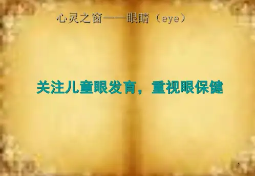 儿童视力发育讲座精讲PPT课件