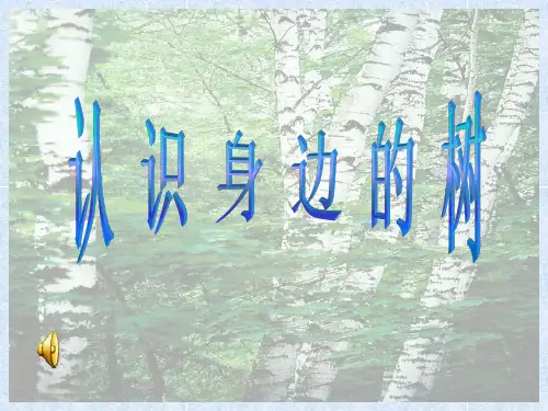 认识身边的树ppt_小学人美版美术课件[1]