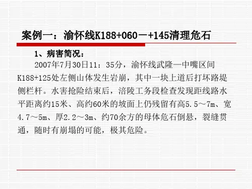 落石危石案例分析