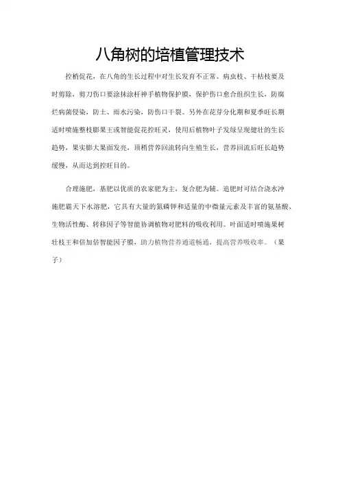 八角树的培植管理技术