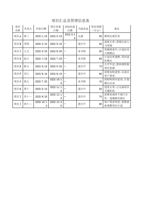 项目汇总及管理信息表