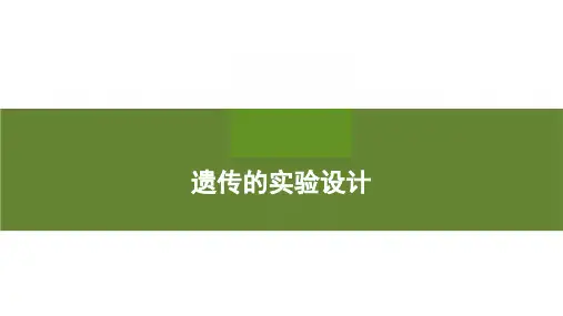 人教版高一必刷题：遗传的实验设计