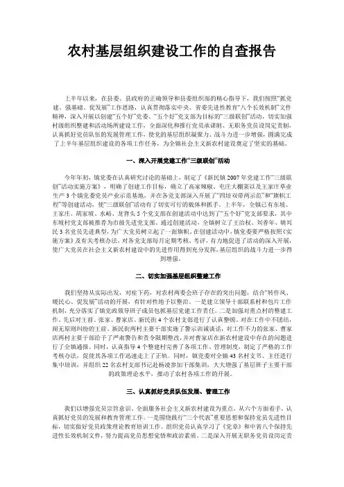 农村基层组织建设工作的自查报告