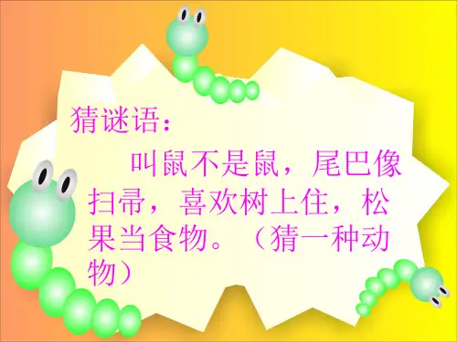 《跑进家来的松鼠》课件