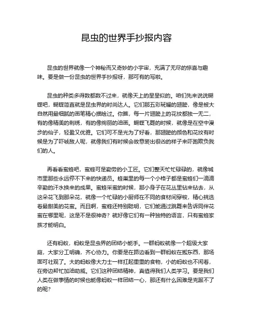 昆虫的世界手抄报内容