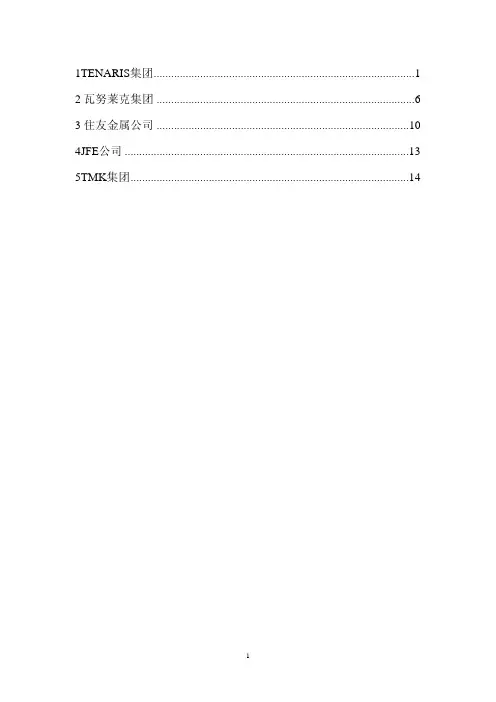 国外五大钢管集团基本情况