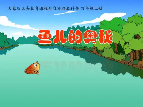 四年级上册科学课件-鱼儿的奥秘 大象版