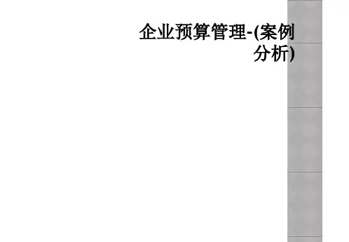 企业预算管理案例分析