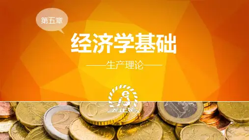 经济学基础 第五章PPT