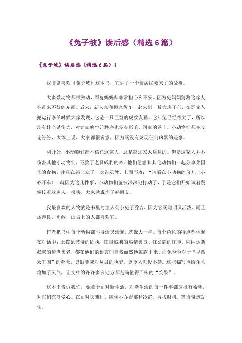 《兔子坡》读后感(精选6篇)