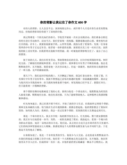 你的背影让我记住了你作文600字