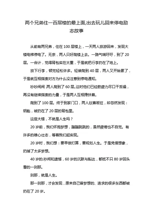 两个兄弟住一百层楼的最上面,出去玩儿回来停电励志故事