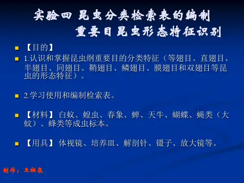 实验四 昆虫分类检索表及主要