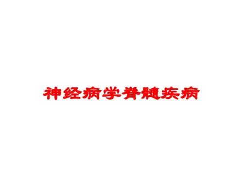 神经病学脊髓疾病培训课件