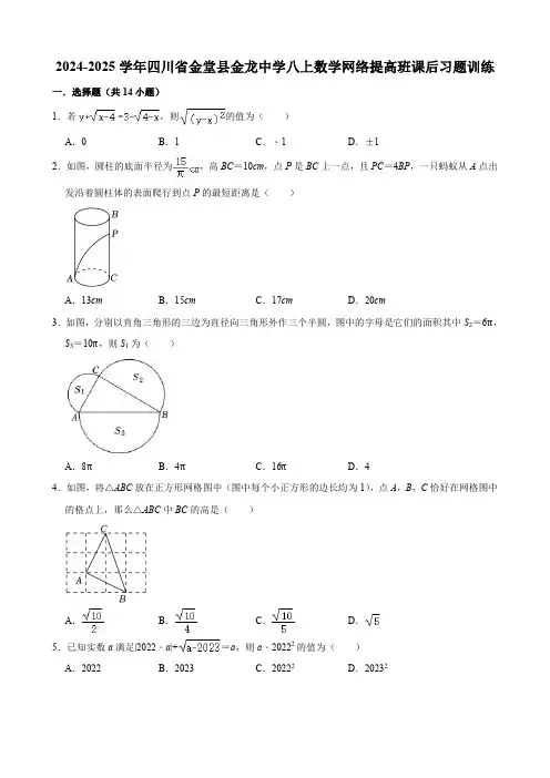 2024-2025学年四川省金堂县金龙中学八上数学网络提高班课后习题训练【含答案】