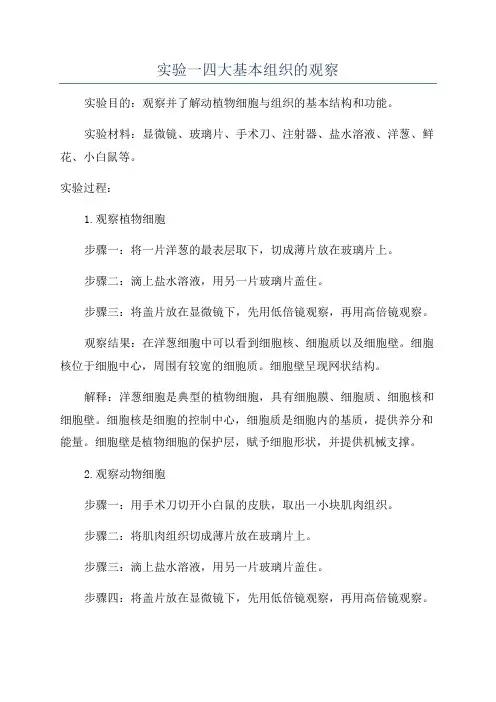 实验一四大基本组织的观察