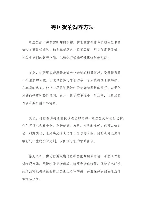 寄居蟹的饲养方法