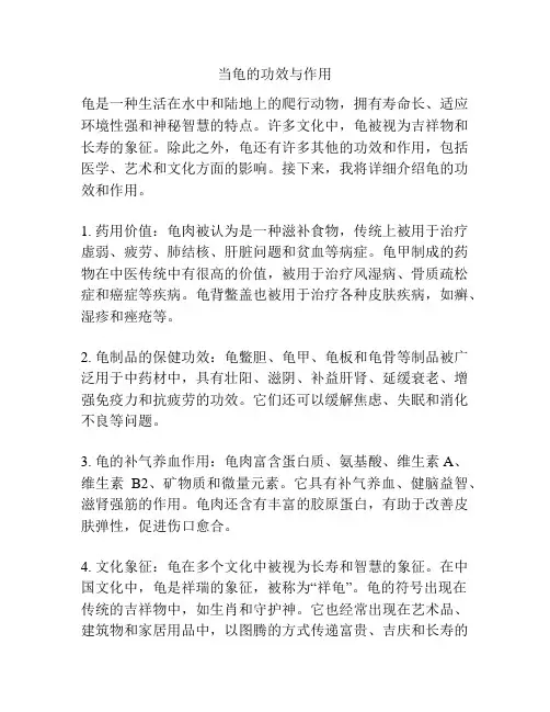 当龟的功效与作用
