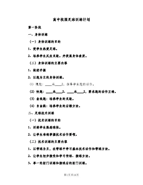 高中校园足球训练计划（3篇）