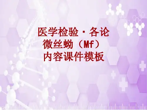 医学检验·检查项目：微丝蚴(Mf)_课件模板