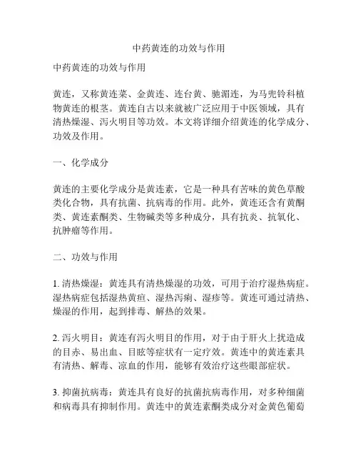 中药黄连的功效与作用