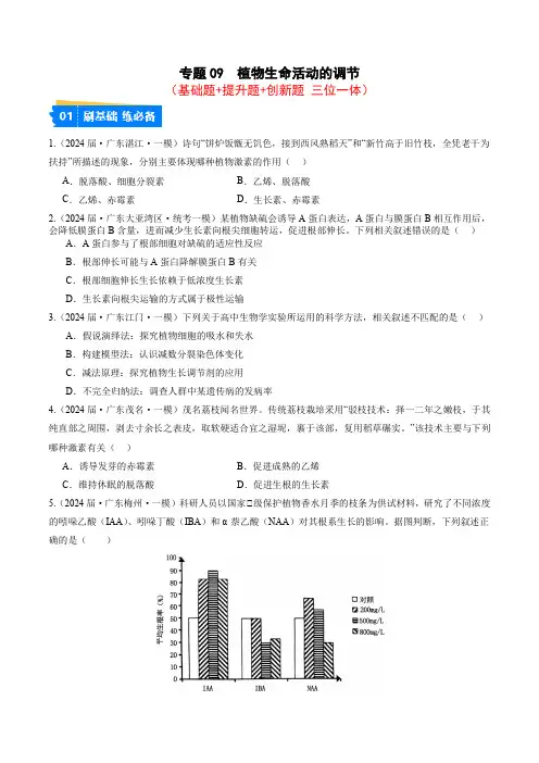 专题09 植物生命活动的调节-2024年高考生物一模试题分类汇编(广东专用)(原卷版)