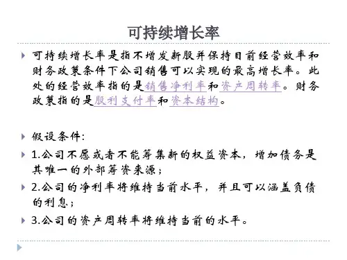 可持续增长分析